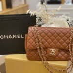 Chanel bag3