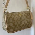 Coach bag01(w)