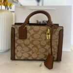 Coach bag(WW-BR)
