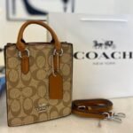 Coach bag(77-W)