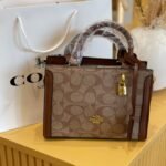 Coach bag (Z BR)