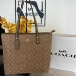 Coach bag ( kaki)