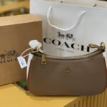 Coach bag(BR)
