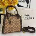 Coach bag (ZA-W)