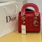 Dior bag4