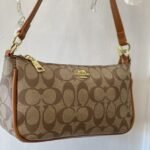 Coach bag02(BR)