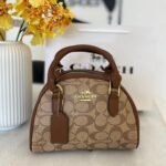 Coach bag (Co-BR)