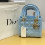 Dior bag 2