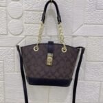 Coach bag2 (B)