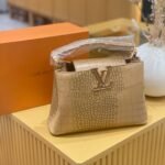 LV bag2