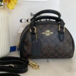 Coach bag (Co-B)