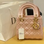 Dior bag3
