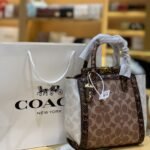 Coach bag3(W)