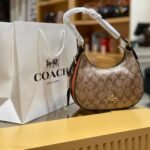 Coach bag( C K)