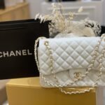 Chanel bag4