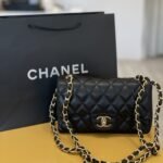 Chanel bag01