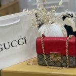 Gucci bag4
