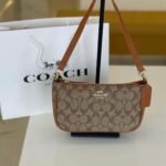 Coach bag(s-BR)