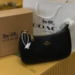 Coach bag(B)