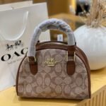 Coach bag(S)(BR)