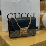 Gucci bag(B)