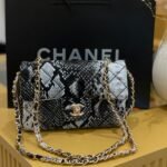 Chanel bag (01)