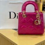 Dior bag( p)