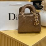 Dior bag (w)