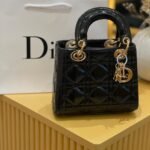 Dior bag( B)