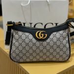 Gucci bag(B1)