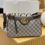 Gucci bag( BR1)