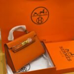 Hermes bag(OR)