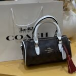 Coach bag055( BR)