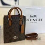 Coach bag(77-BR)