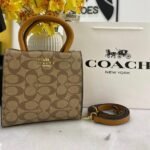 Coach bag (ZB-BR)