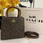 Coach bag (ZB-BB)