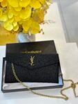 Saint Laurent pouch( black2)