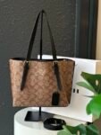 Coach bag( 12001- brown)