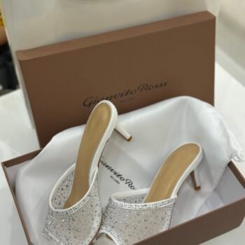 Gianvito Rossi ( 2025-3/ white)