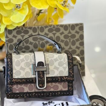 Coach bag( 03-white)