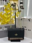 Coach bag(999- black)