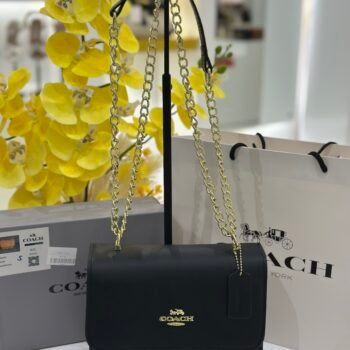 Coach bag(999- black)