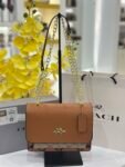 Coach bag(999- brown)