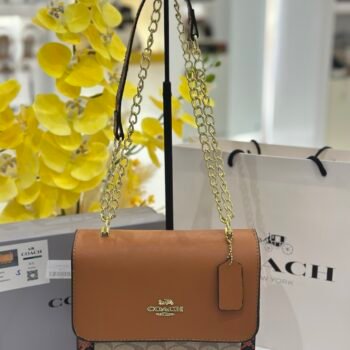 Coach bag(999- brown)