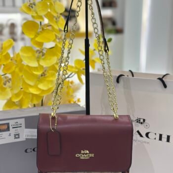 Coach bag(999- purple)