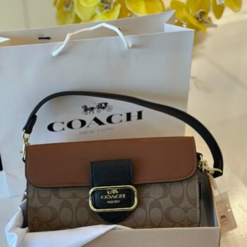 Coach bag (C3702-Apricot/brown/black)