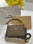 Coach bag( 5009-apricot/brown)