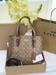 Coach bag(8001-Khaki/brown)