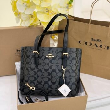 Coach bag(8001-Black/BLACK)