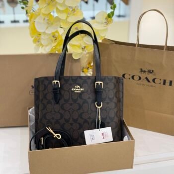 Coach bag(8001-Coffee/Black)